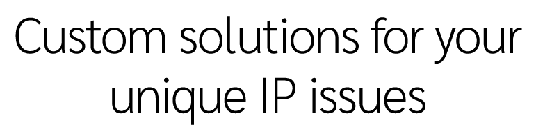 Custom solutions for your unique IP issues